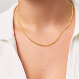 Double Curb Chain Necklace