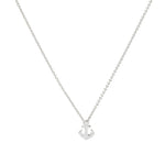 (silver)