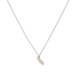 (silver)