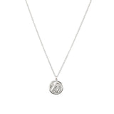 (silver)