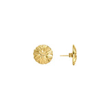 Kaleidoscope stud earrings