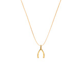 Wishbone Charm Make A Wish Necklace