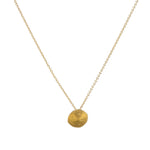 (gold)